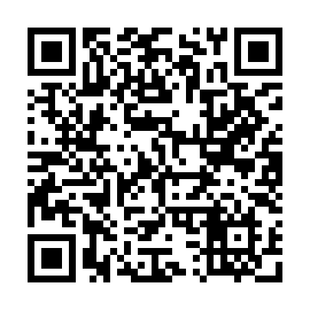 QR code for 533IIN