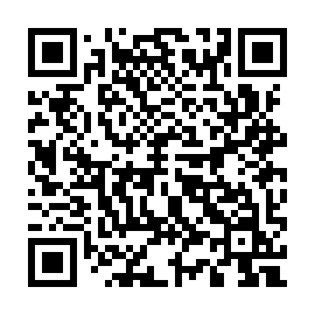 QR code for 533IYN