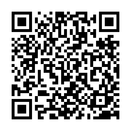 QR code for 533NIS