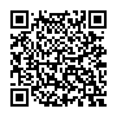 QR code for 533PIM