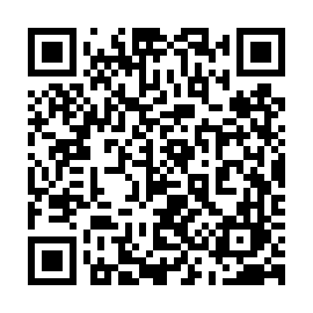 QR code for 533TVL