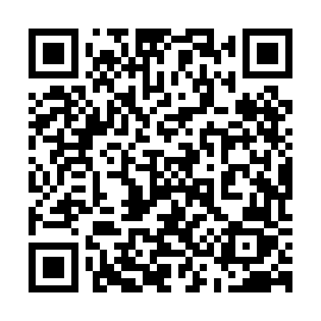 QR code for 538PFZ
