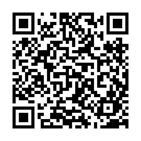 QR code for 540BIN