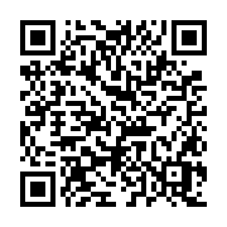 QR code for 541FLV
