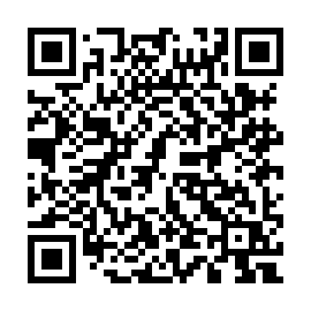 QR code for 541HIR