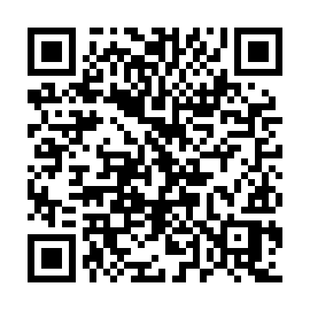 QR code for 541LIR