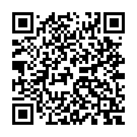 QR code for 541PYR