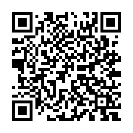 QR code for 541QNX