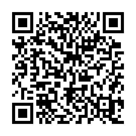 QR code for 541SWI