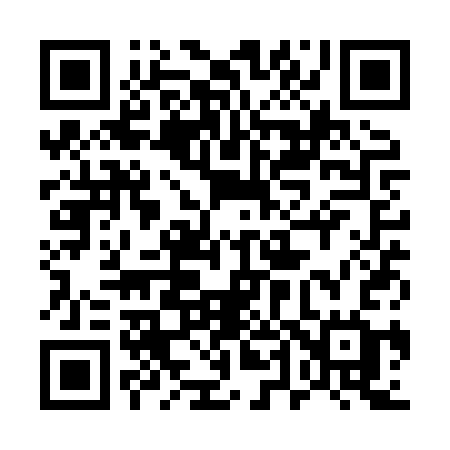 QR code for 541XSG