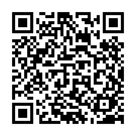 QR code for 542PEM