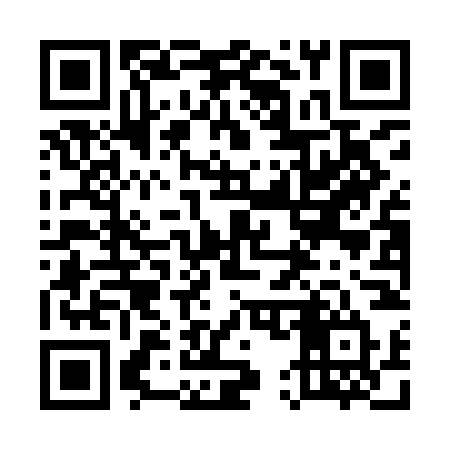 QR code for 550INT