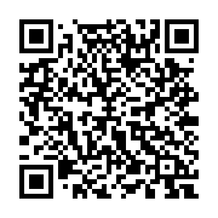QR code for 550PUB