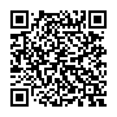 QR code for 553DFS