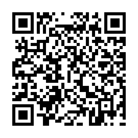 QR code for 555ISM