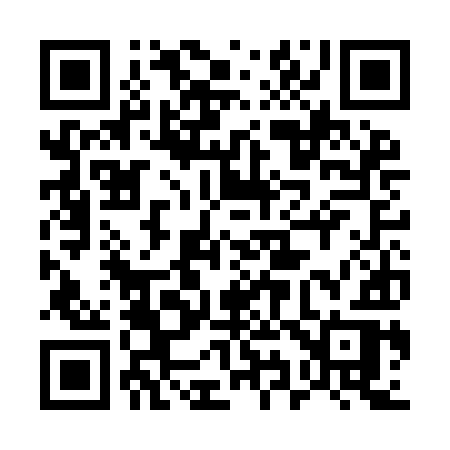 QR code for 593IIR