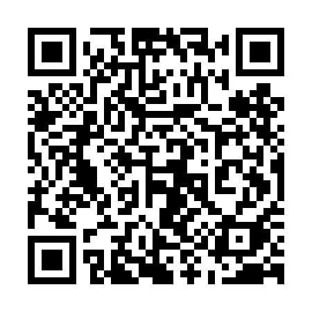QR code for 595DAI