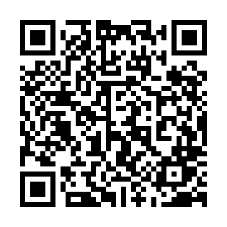QR code for 595QLT