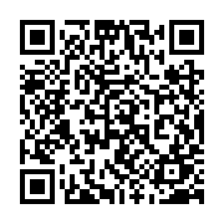 QR code for 595SYT