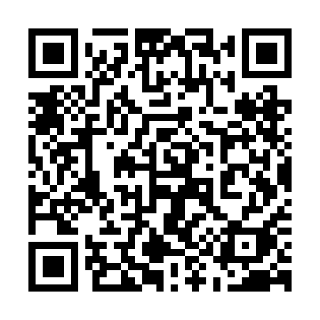 QR code for 597RAI