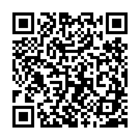 QR code for 599DLI