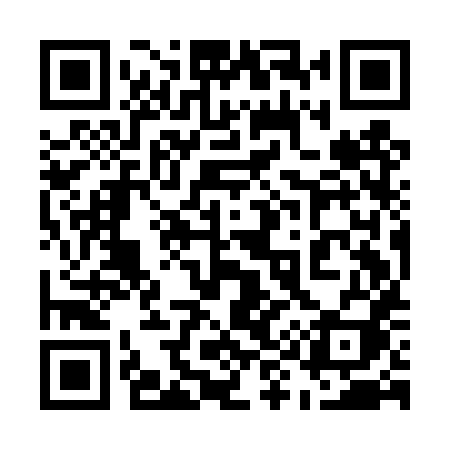 QR code for 599DXI