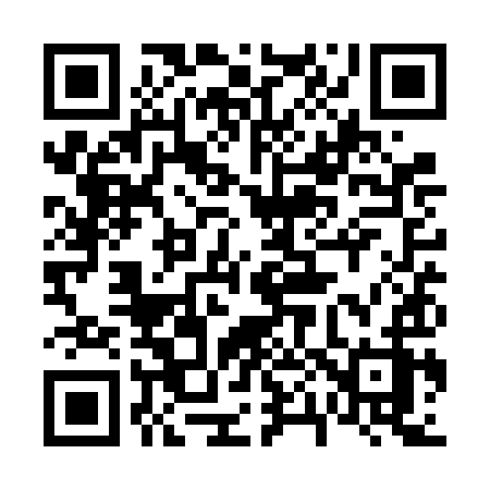 QR code for 601VIZ