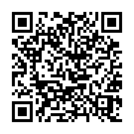 QR code for 607SIR