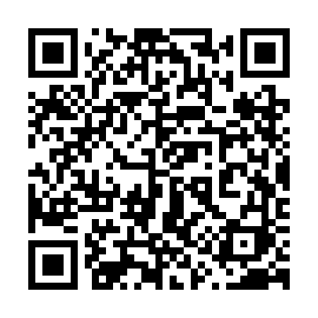 QR code for 613SFI