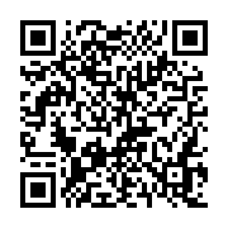 QR code for 618LUN