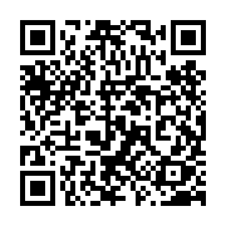 QR code for 638DIX
