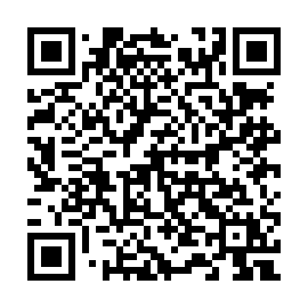 QR code for 641LAX