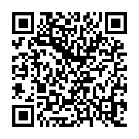QR code for 646ICO