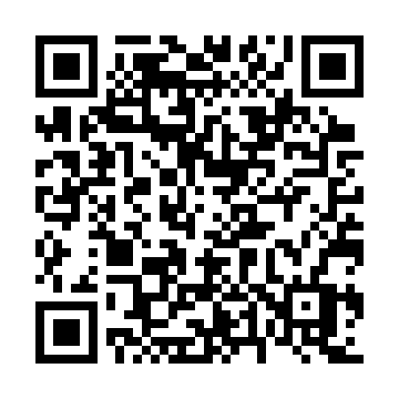QR code for 647SRV