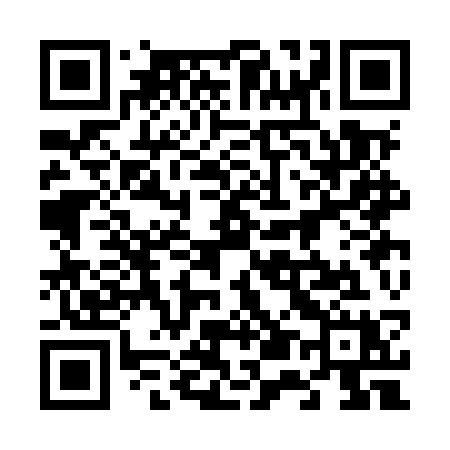 QR code for 653MSX