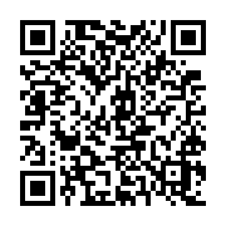 QR code for 655GIZ