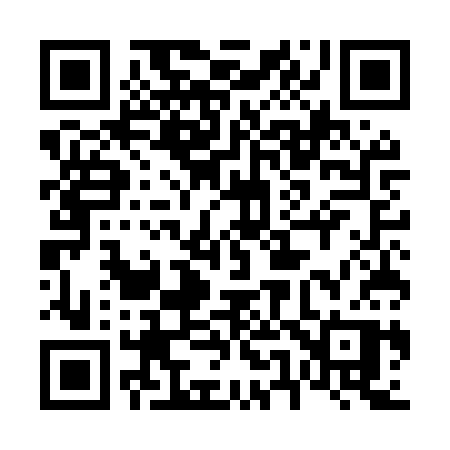QR code for 655MSP