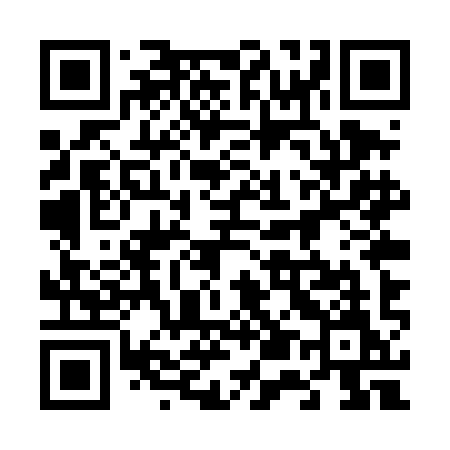 QR code for 655TIM