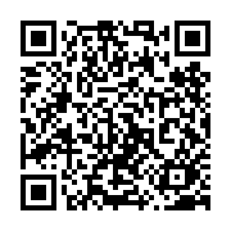 QR code for 656DAO