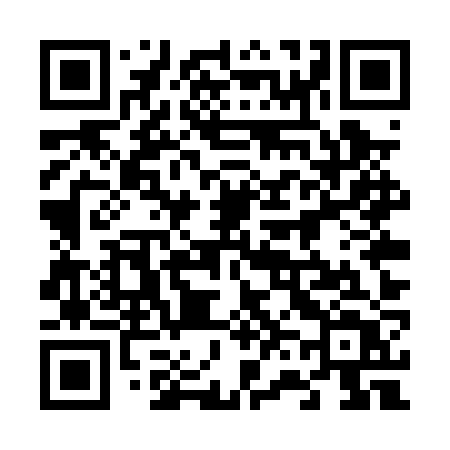 QR code for 665PZT