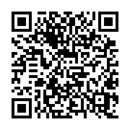 QR code for 666SMT