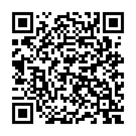 QR code for 667AIN