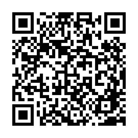 QR code for 675PDG