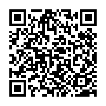 QR code for 696PAP