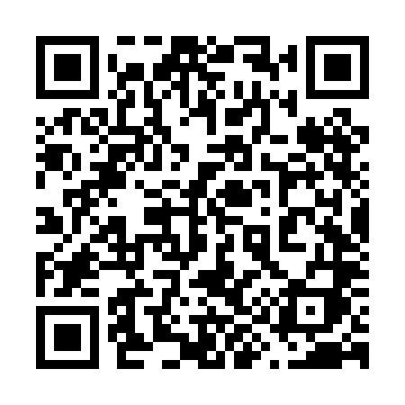 QR code for 696PLI