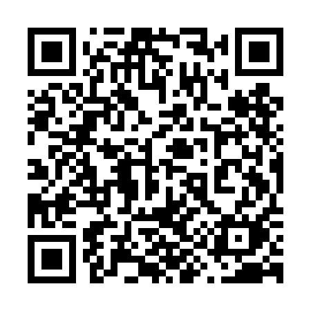 QR code for 699DAM
