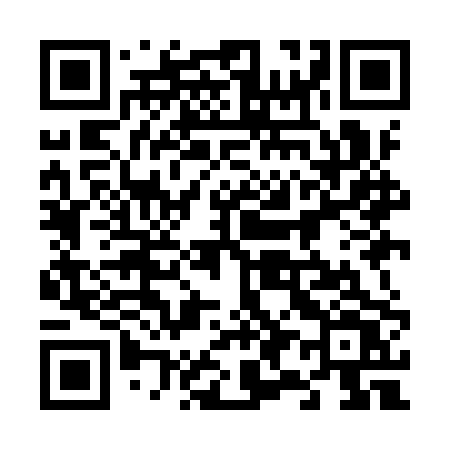 QR code for 699IPV
