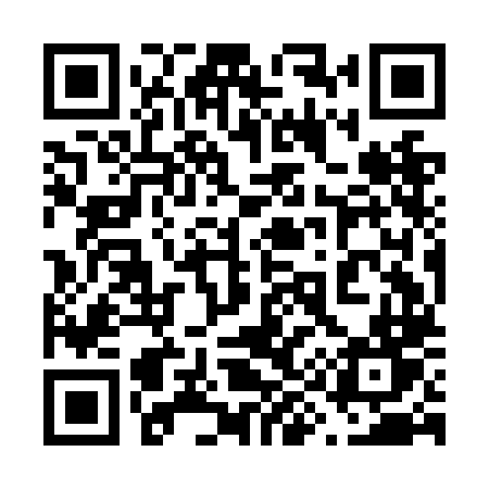 QR code for 699NLT