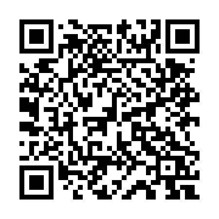 QR code for 729DPS