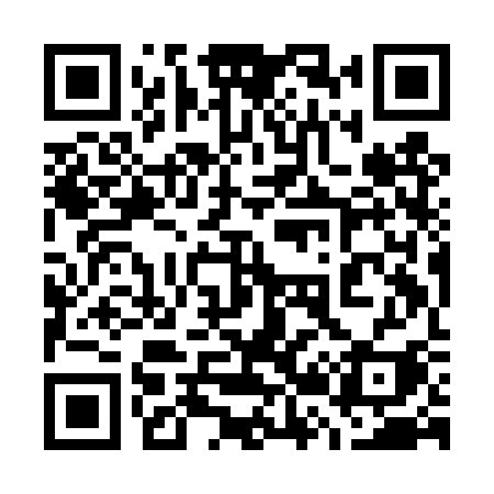 QR code for 729DSI